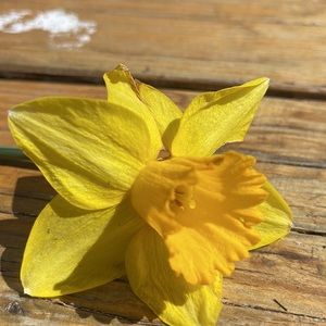 Meet your Posher, Letty